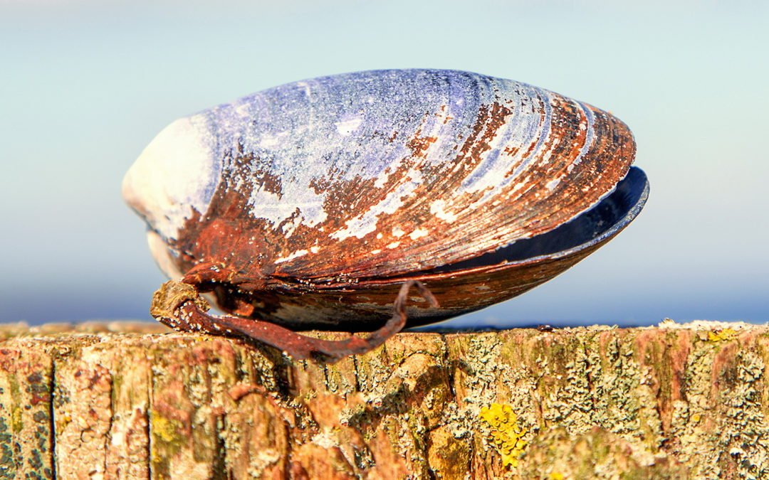 Wechsel-Jahre: Schnelle Hilfe
