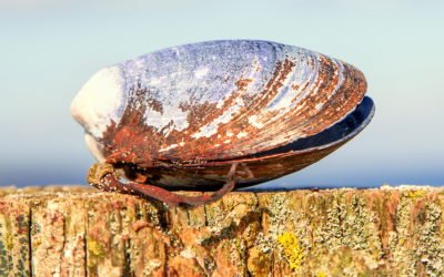 Wechsel-Jahre: Schnelle Hilfe